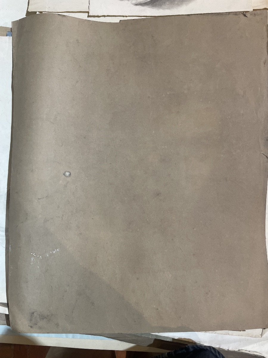 Studio accademico dal calco del David di Michelangelo, scuola toscana, 51 × 43 cm-photo-3