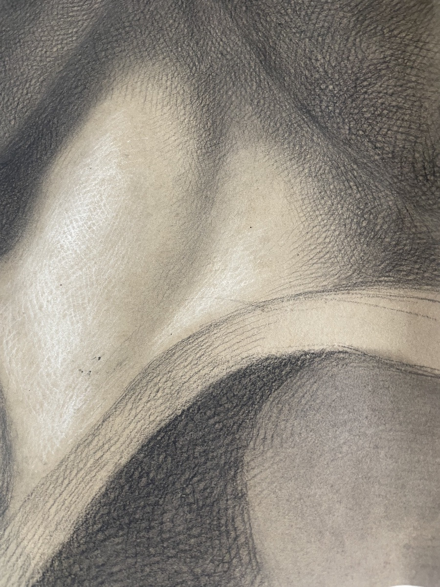 Studio accademico dal calco del David di Michelangelo, scuola toscana, 51 × 43 cm-photo-6