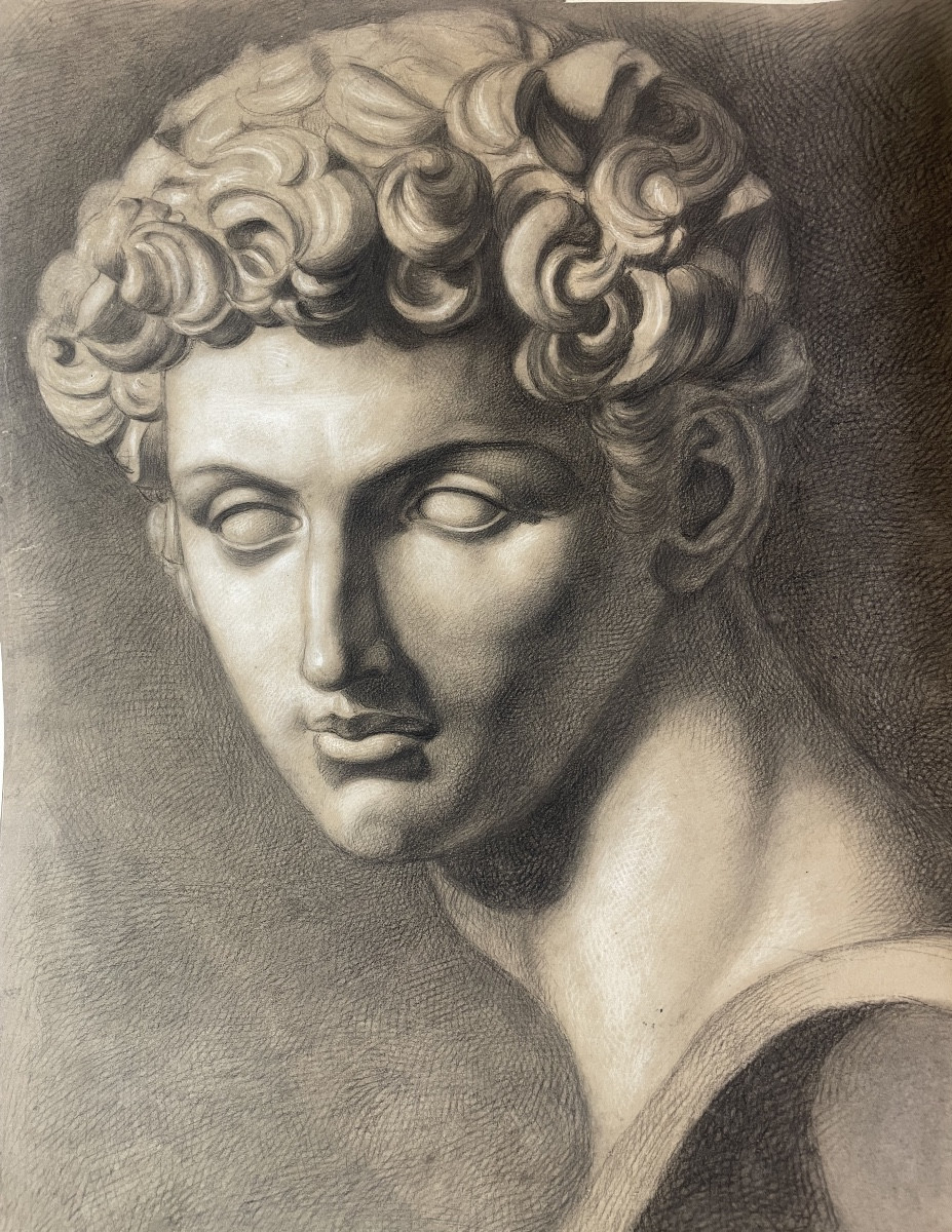 Studio accademico dal calco del David di Michelangelo, scuola toscana, 51 × 43 cm