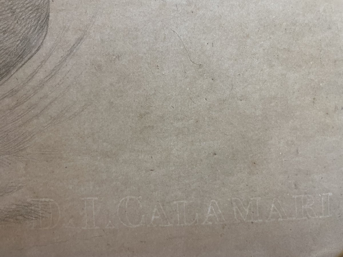 Studio accademico di testa di cavallo, 59 × 43 cm Metà XIX secolo -photo-1