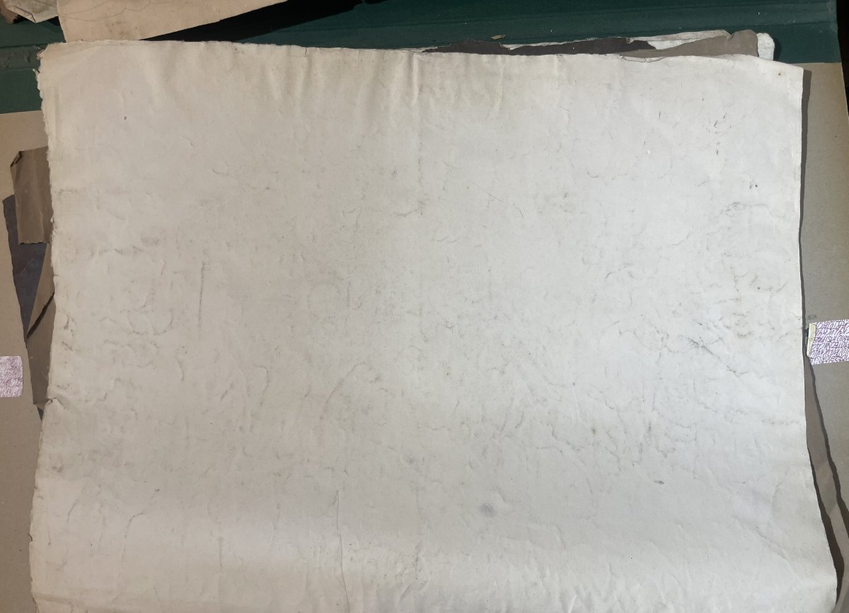 Studio accademico di testa di cavallo, 59 × 43 cm Metà XIX secolo -photo-4