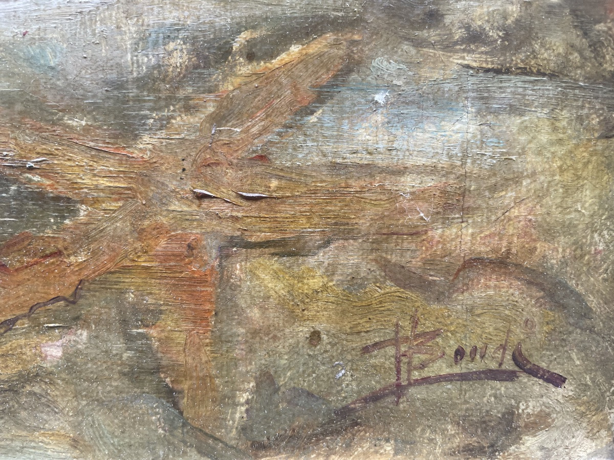 Subacqueo con cernia sotto lo scafo – metà del XX secolo . Cm99x 74-photo-1