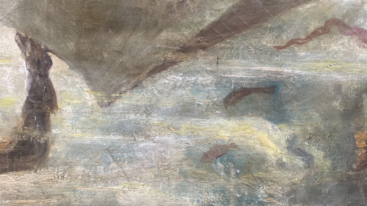 Subacqueo con cernia sotto lo scafo – metà del XX secolo . Cm99x 74-photo-4