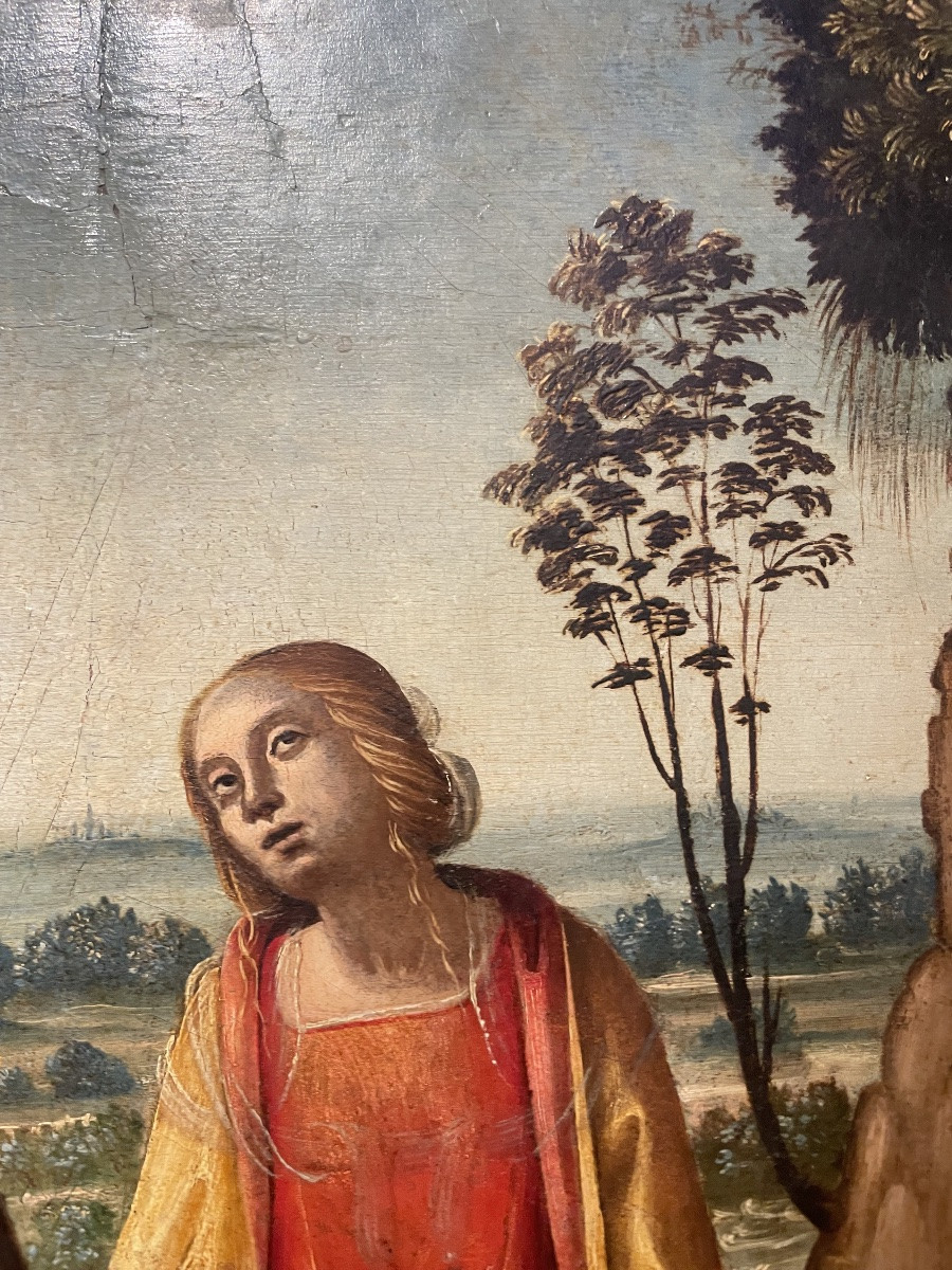 Compianto sul Cristo morto (Pietà) – Scuola italiana, inizio XVI secolo, tavola-photo-1