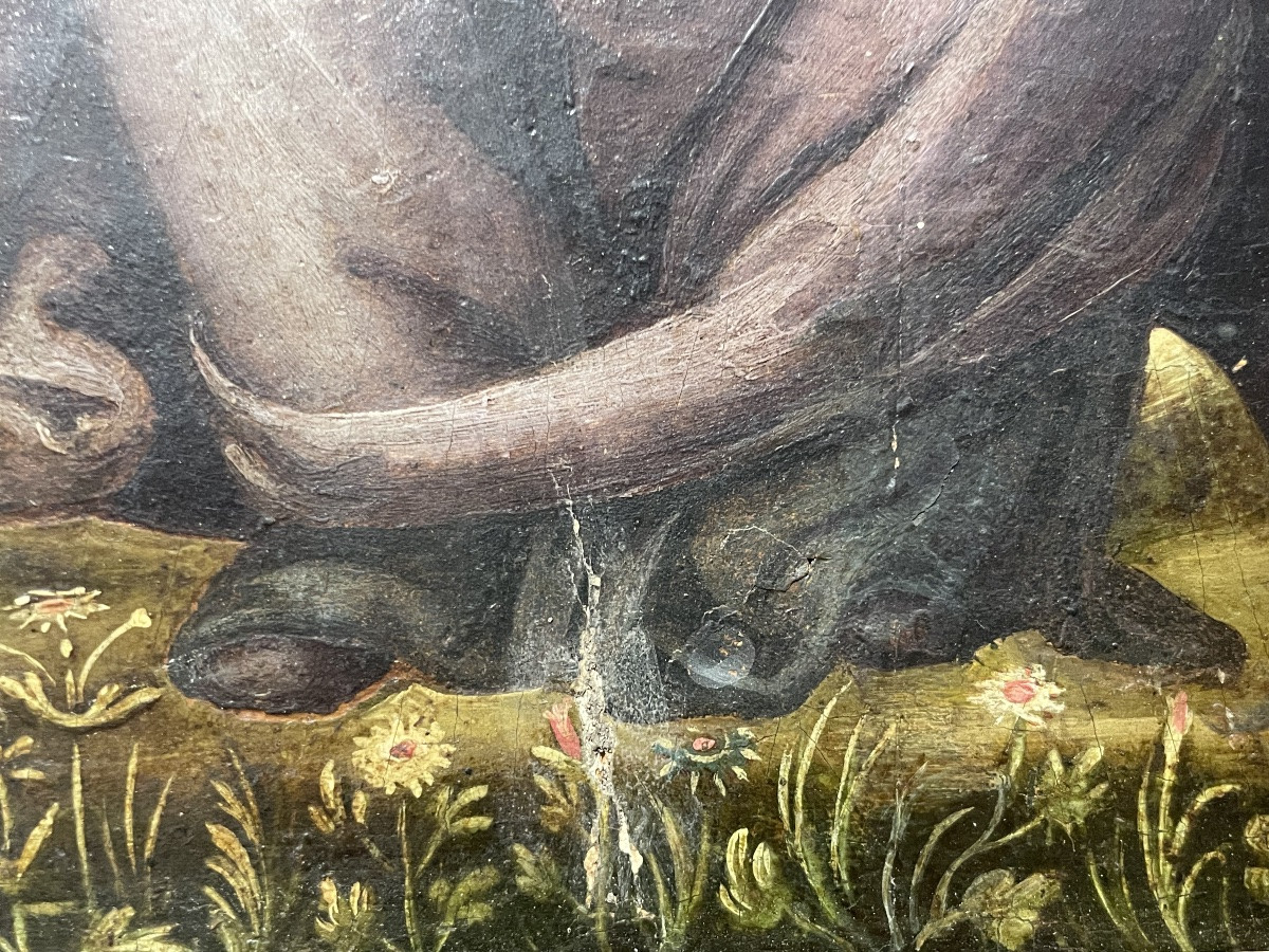 Compianto sul Cristo morto (Pietà) – Scuola italiana, inizio XVI secolo, tavola-photo-5