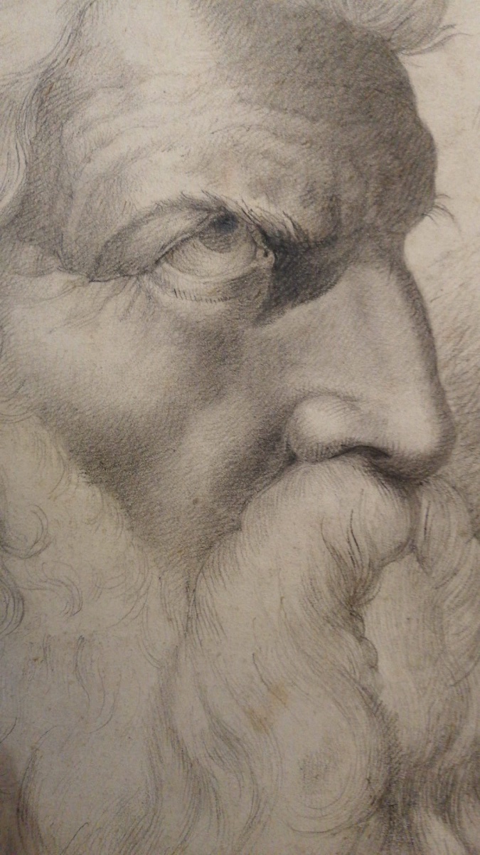 Testa di uomo anziano con lunga barba, di profilo, studio accademico, probabilmente Mosè. -photo-1