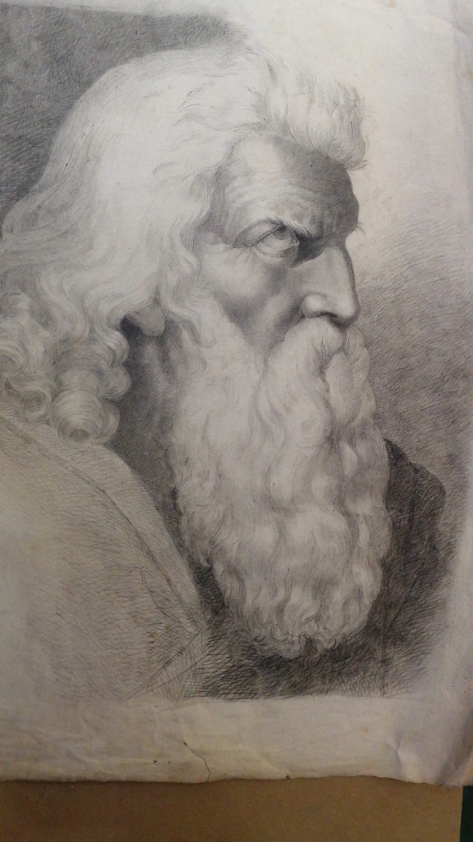 Testa di uomo anziano con lunga barba, di profilo, studio accademico, probabilmente Mosè. -photo-2