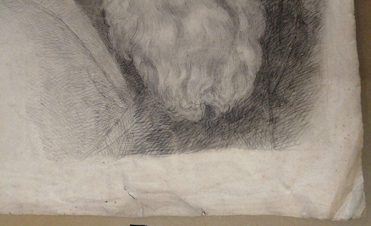 Testa di uomo anziano con lunga barba, di profilo, studio accademico, probabilmente Mosè. -photo-3