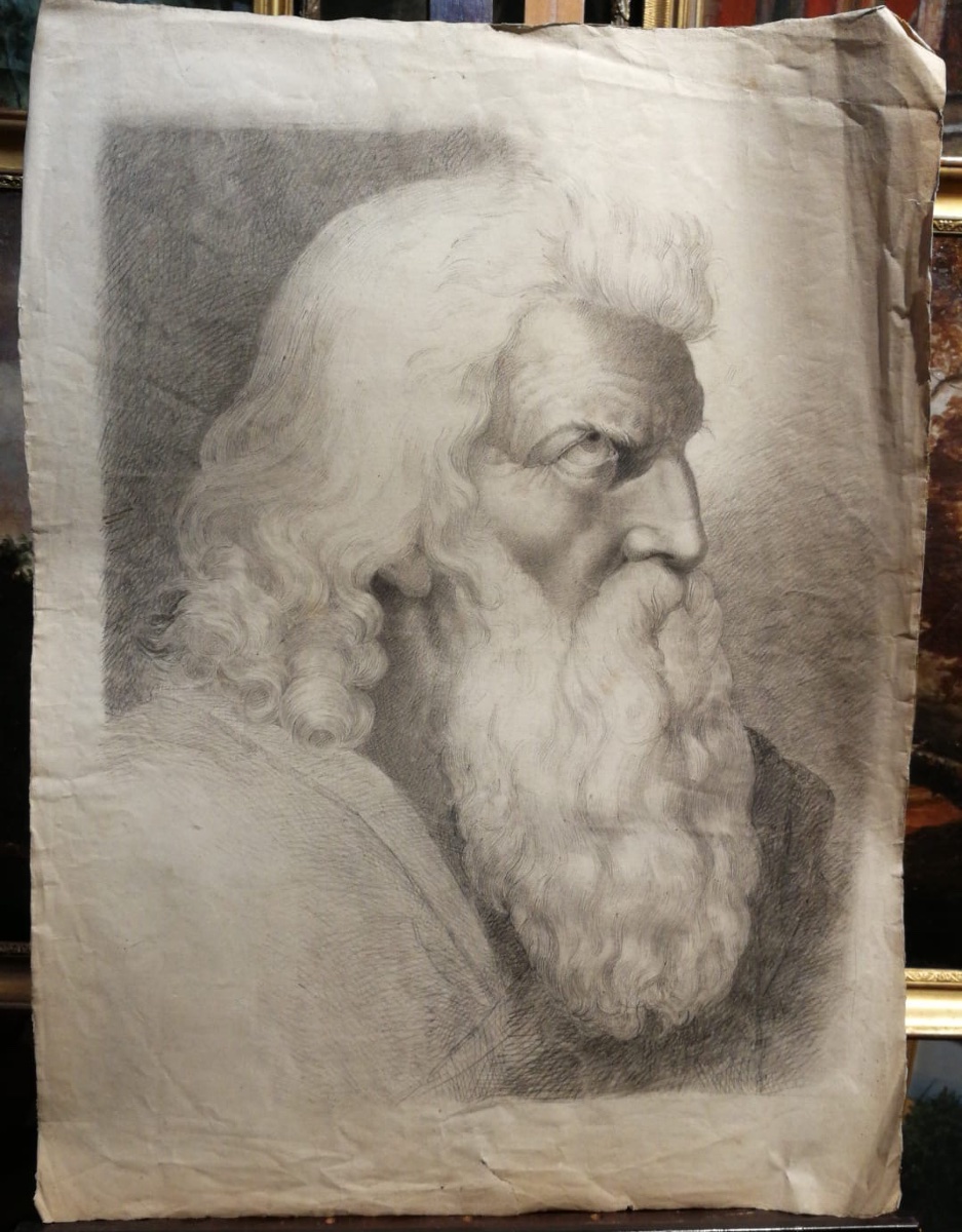 Testa di uomo anziano con lunga barba, di profilo, studio accademico, probabilmente Mosè. -photo-5