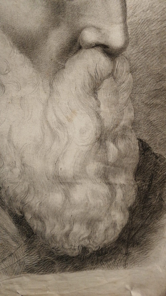 Testa di uomo anziano con lunga barba, di profilo, studio accademico, probabilmente Mosè. -photo-6