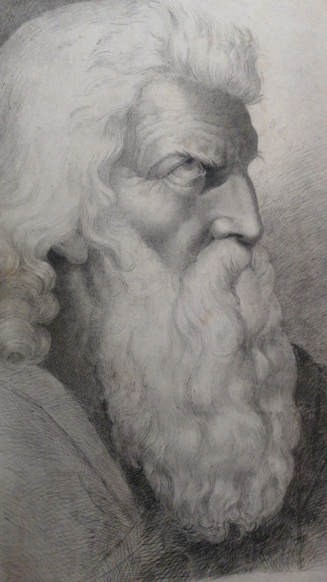 Testa di uomo anziano con lunga barba, di profilo, studio accademico, probabilmente Mosè. -photo-8