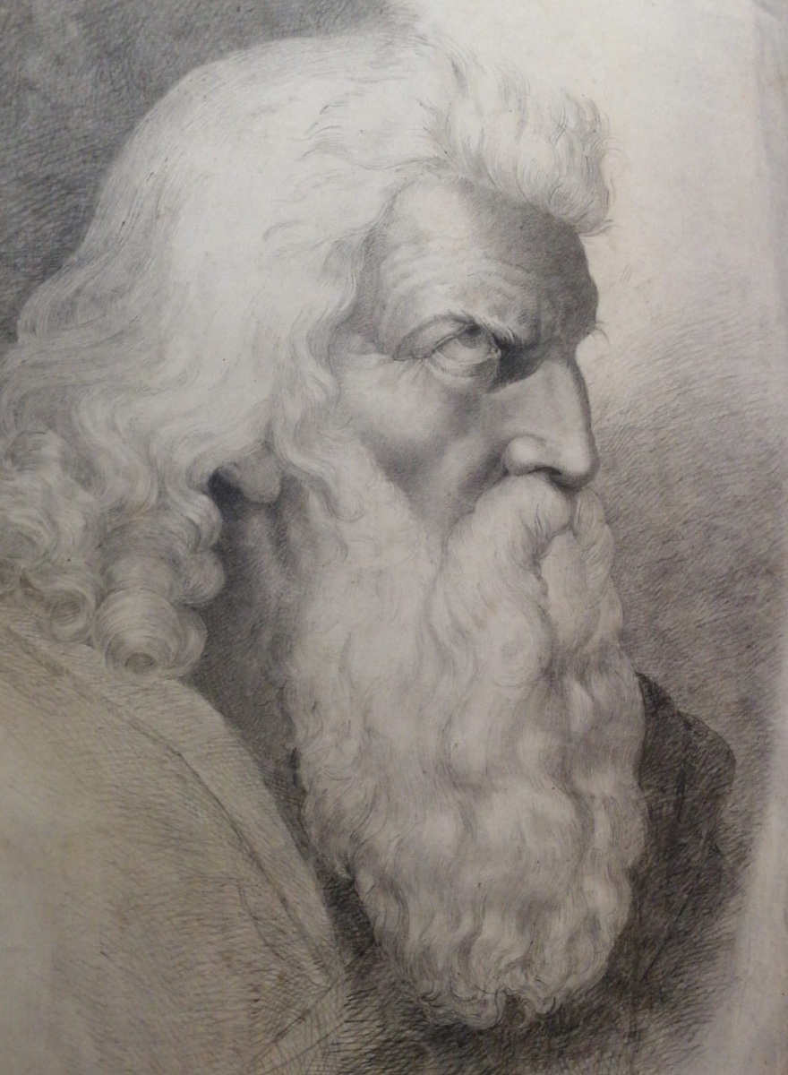 Testa di uomo anziano con lunga barba, di profilo, studio accademico, probabilmente Mosè. 