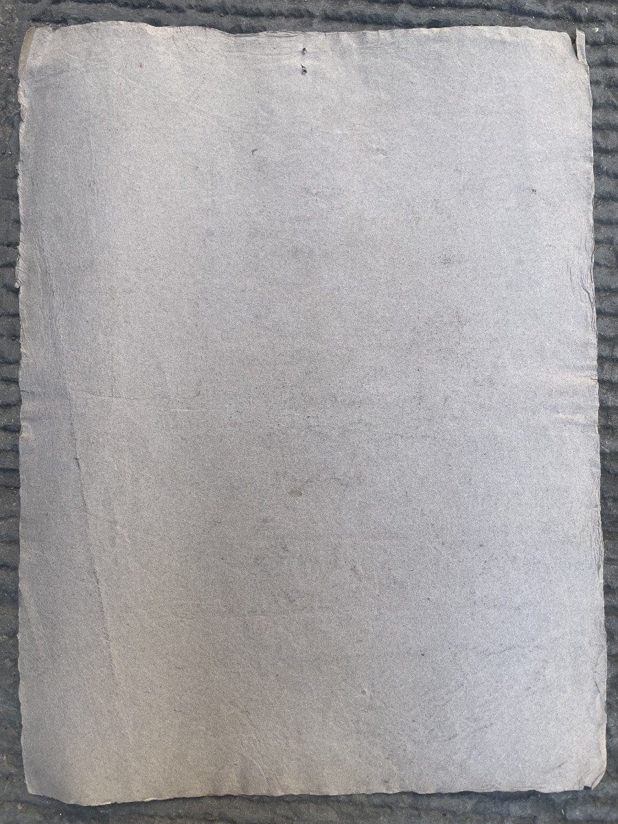 Disegno Ritratto del periodo del Risorgimento italiano, scuola italiana, metà del XIX secolo -photo-2