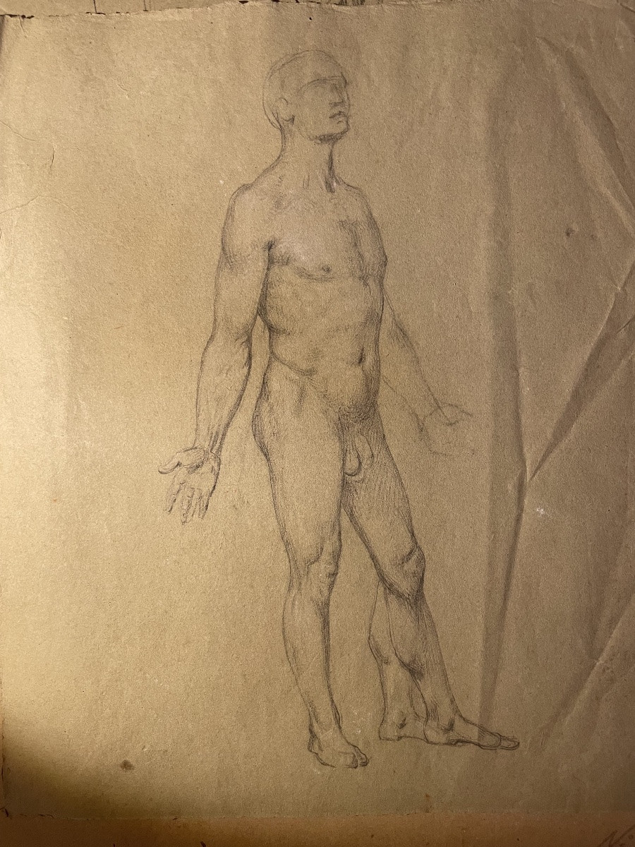 Tre studi accademici maschili su carta verdolina – nudo, panneggio e testa barbuta, metà XIX s-photo-2