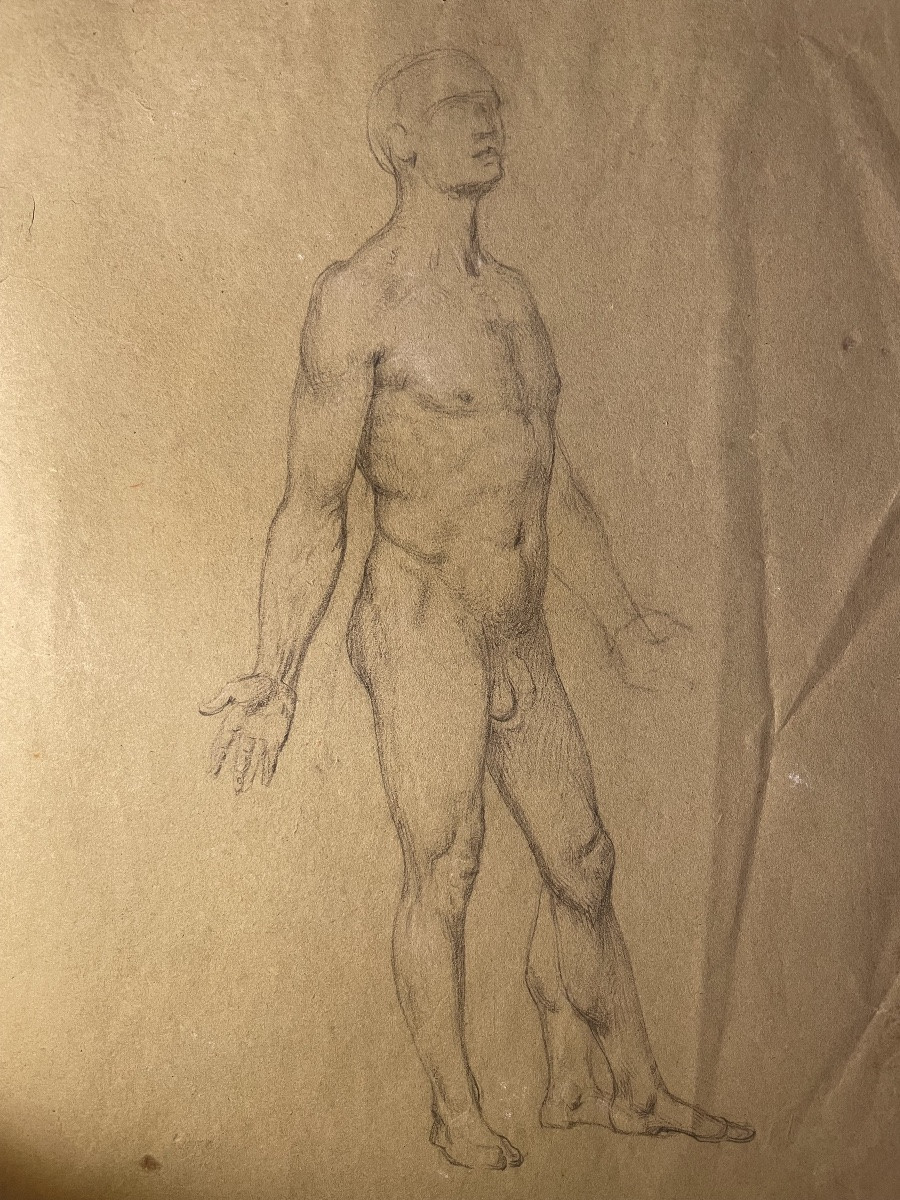 Tre studi accademici maschili su carta verdolina – nudo, panneggio e testa barbuta, metà XIX s-photo-3