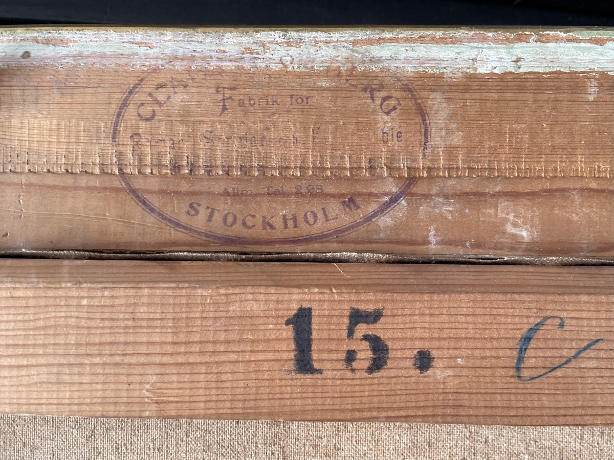 Ritratto della moglie dell’esploratore artico svedese Palander, 1901  -photo-3