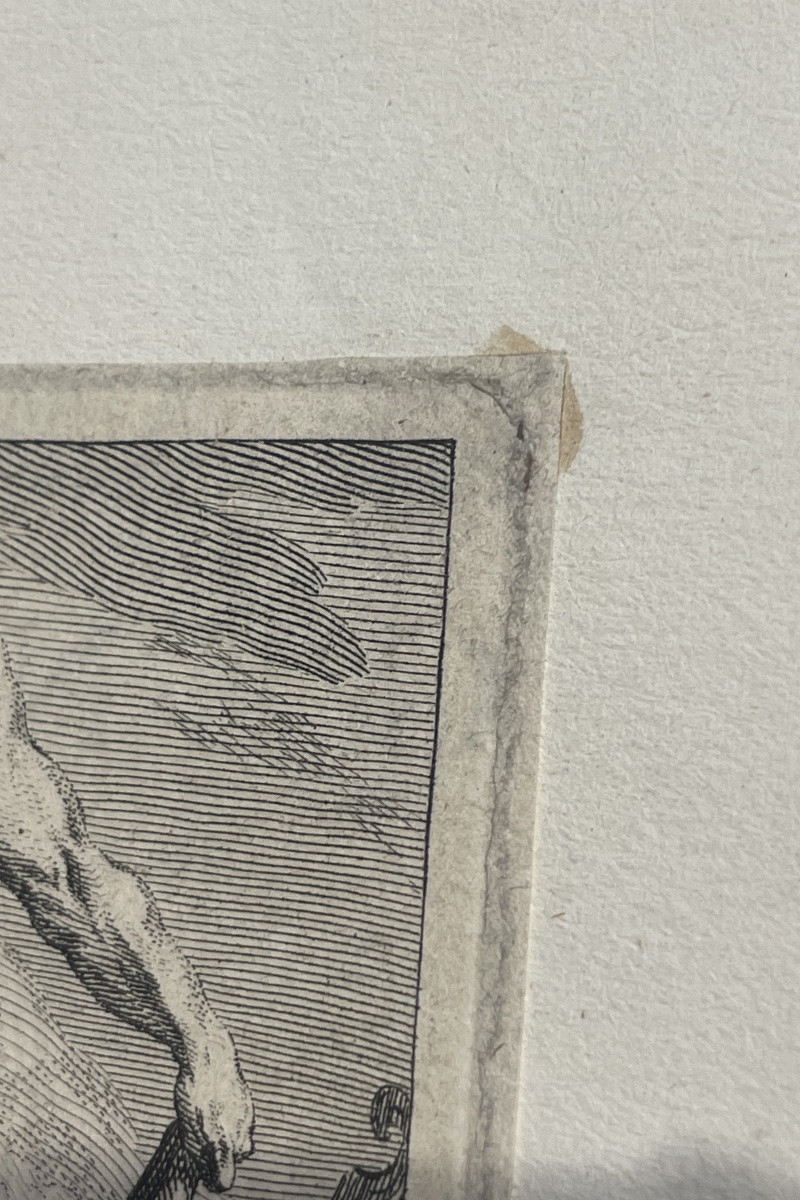 Stemma reale di Danimarca con Ordine dell’Elefante, incisione XVII secolo -photo-5