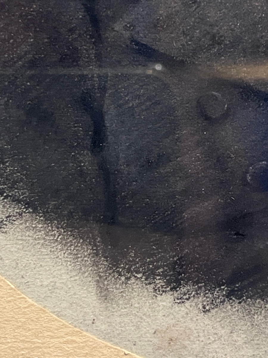 Ritratto maschile a pastello su carta, firmato e datato E. Bouchardy, 1819-photo-6