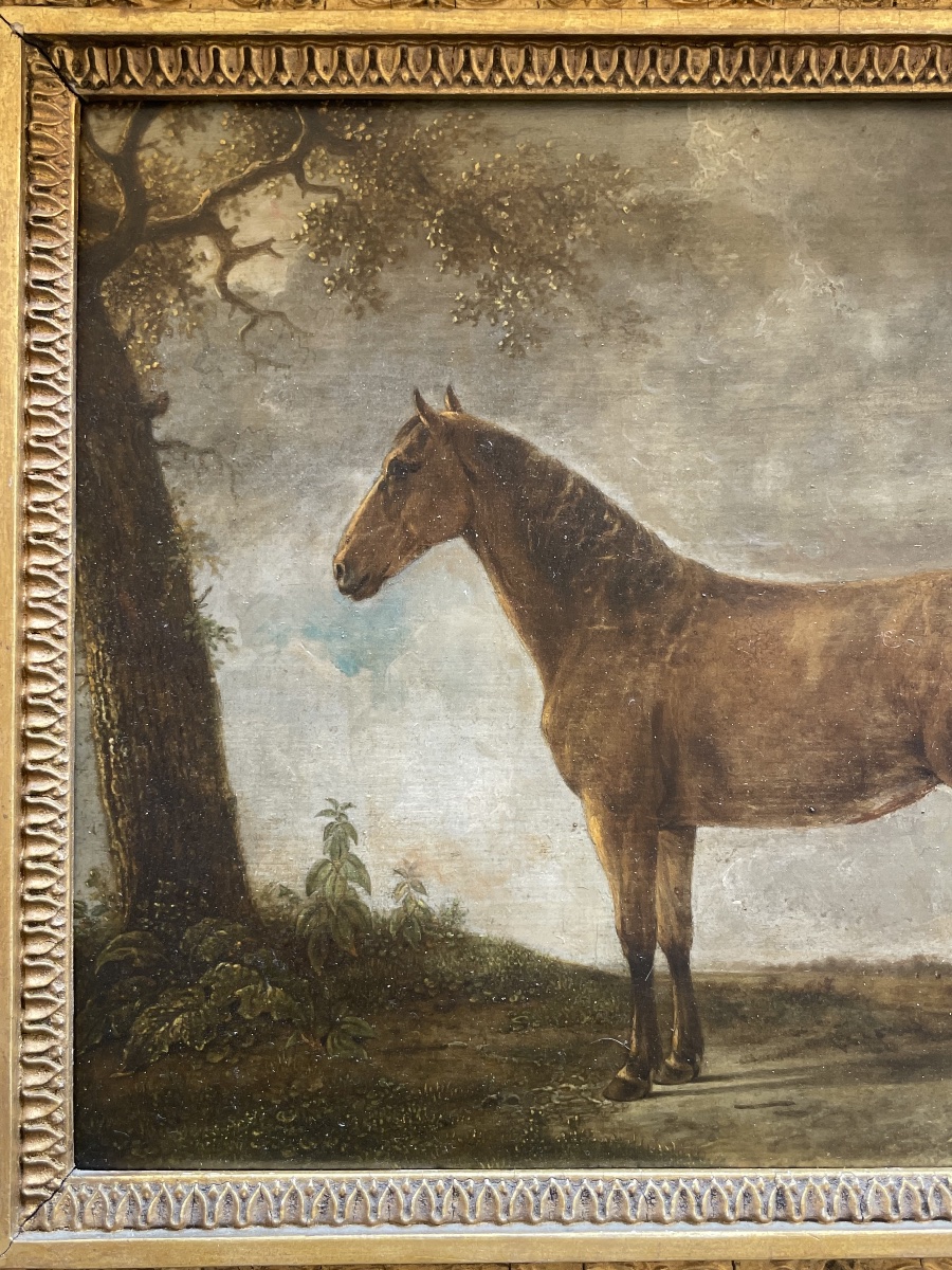 Ritratto di cavallo baio con coda mozzata in paesaggio  Scuola olandese del XVIII secolo  -photo-2