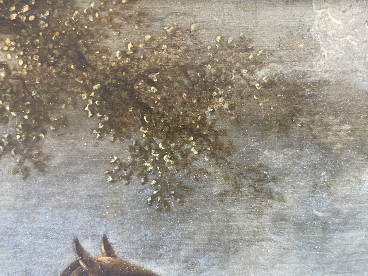 Ritratto di cavallo baio con coda mozzata in paesaggio  Scuola olandese del XVIII secolo  -photo-4