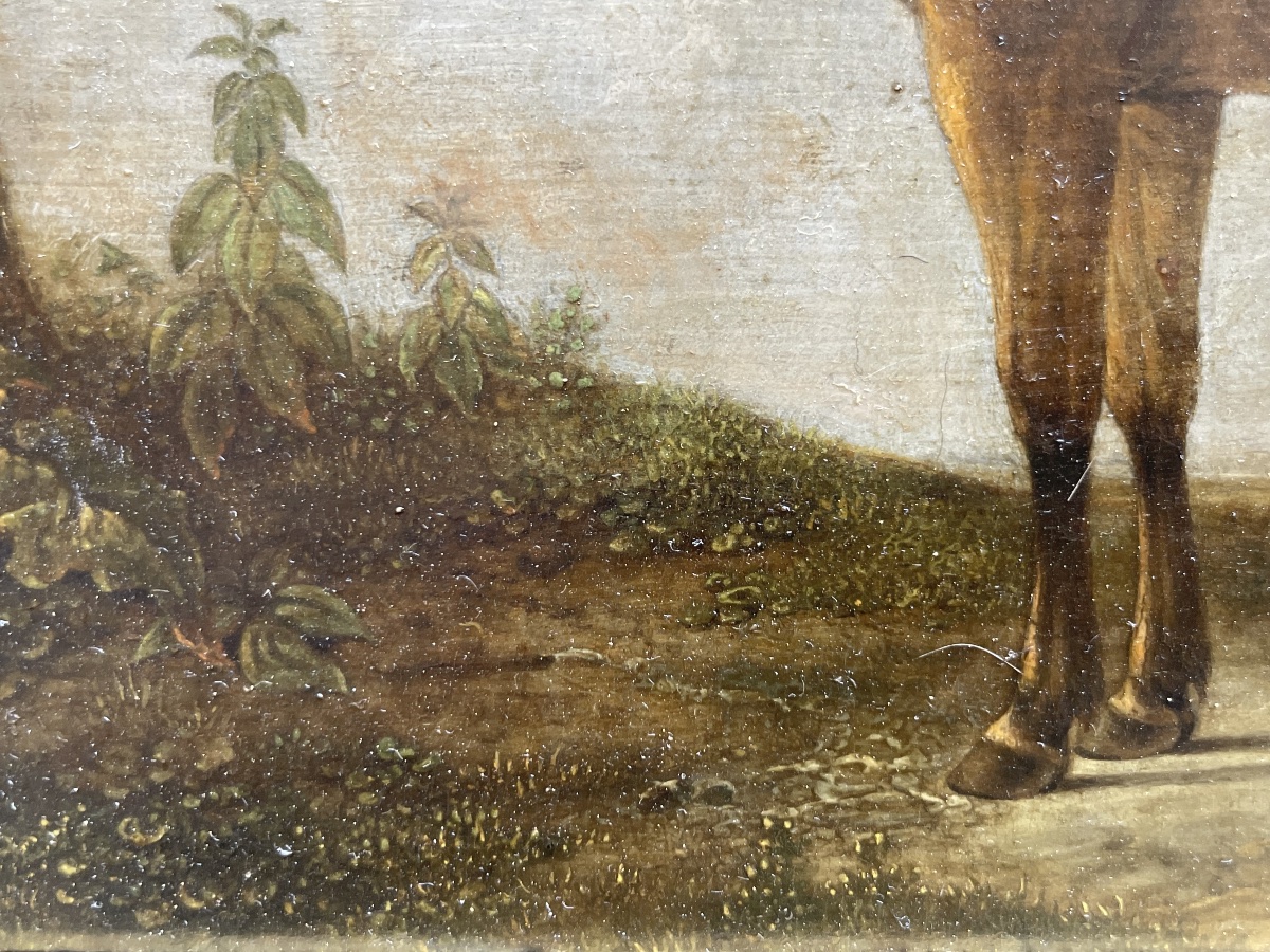 Ritratto di cavallo baio con coda mozzata in paesaggio  Scuola olandese del XVIII secolo  -photo-7