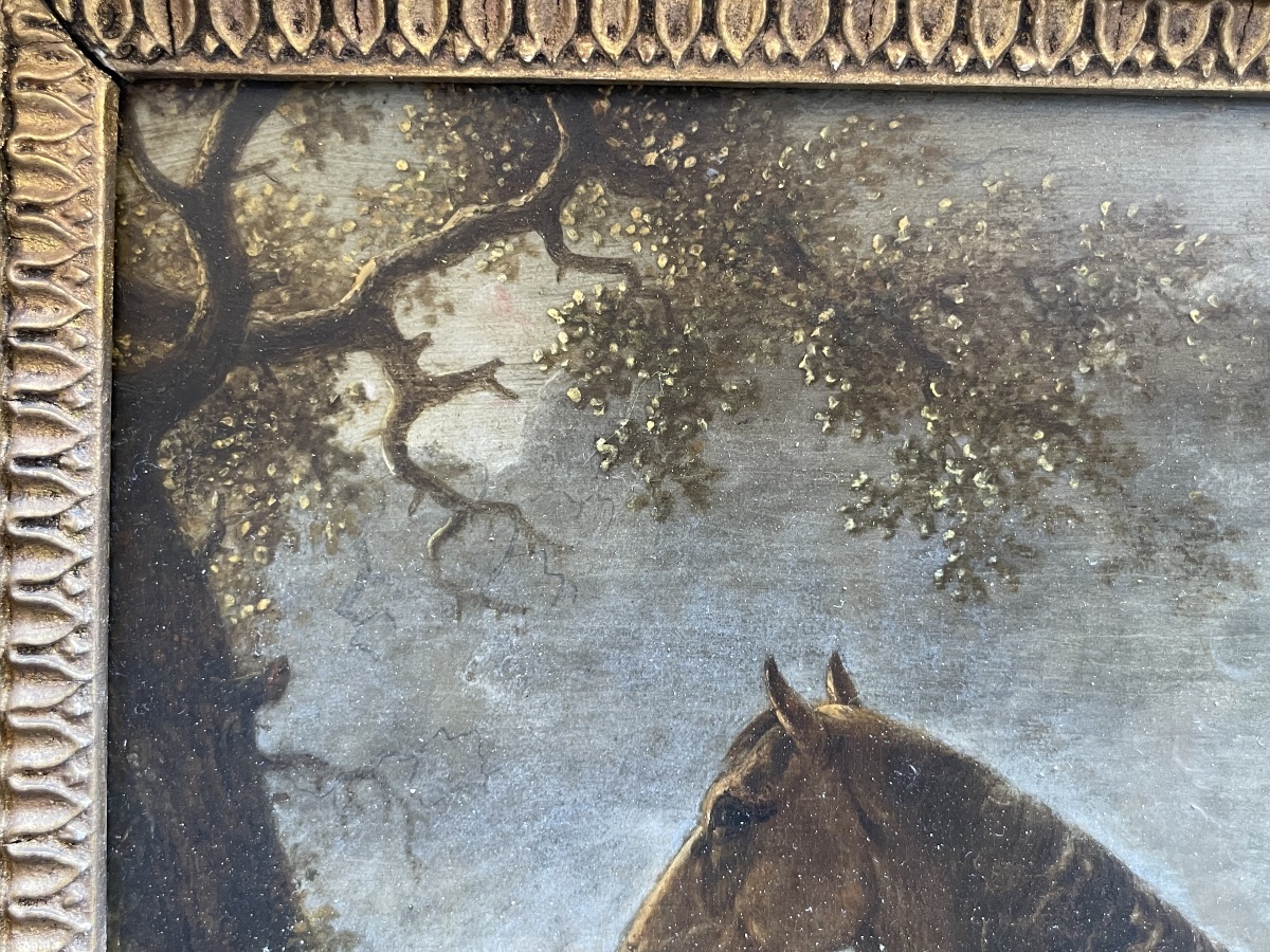 Ritratto di cavallo baio con coda mozzata in paesaggio  Scuola olandese del XVIII secolo  -photo-8
