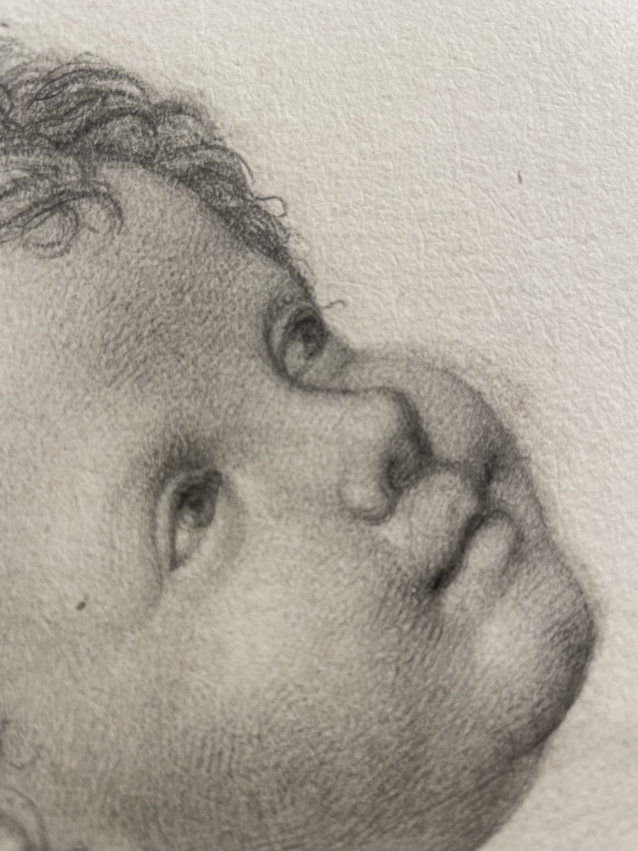 La testa di un angioletto, studio accademico.  Scuola fiorentina, fine XVIII – inizio XIX sec-photo-2