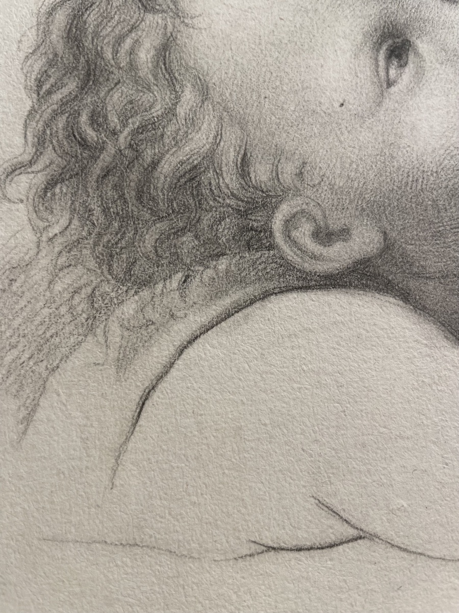 La testa di un angioletto, studio accademico.  Scuola fiorentina, fine XVIII – inizio XIX sec-photo-4