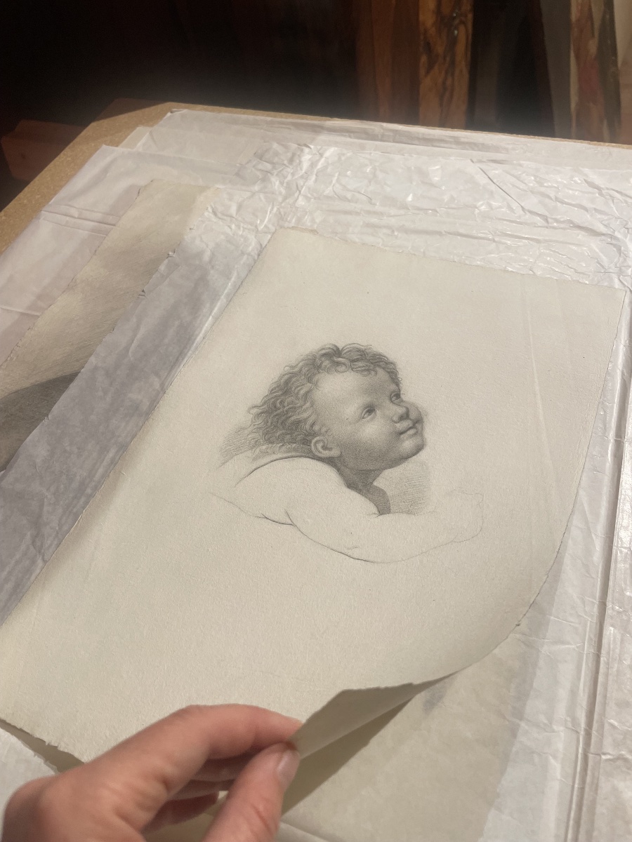 La testa di un angioletto, studio accademico.  Scuola fiorentina, fine XVIII – inizio XIX sec-photo-1