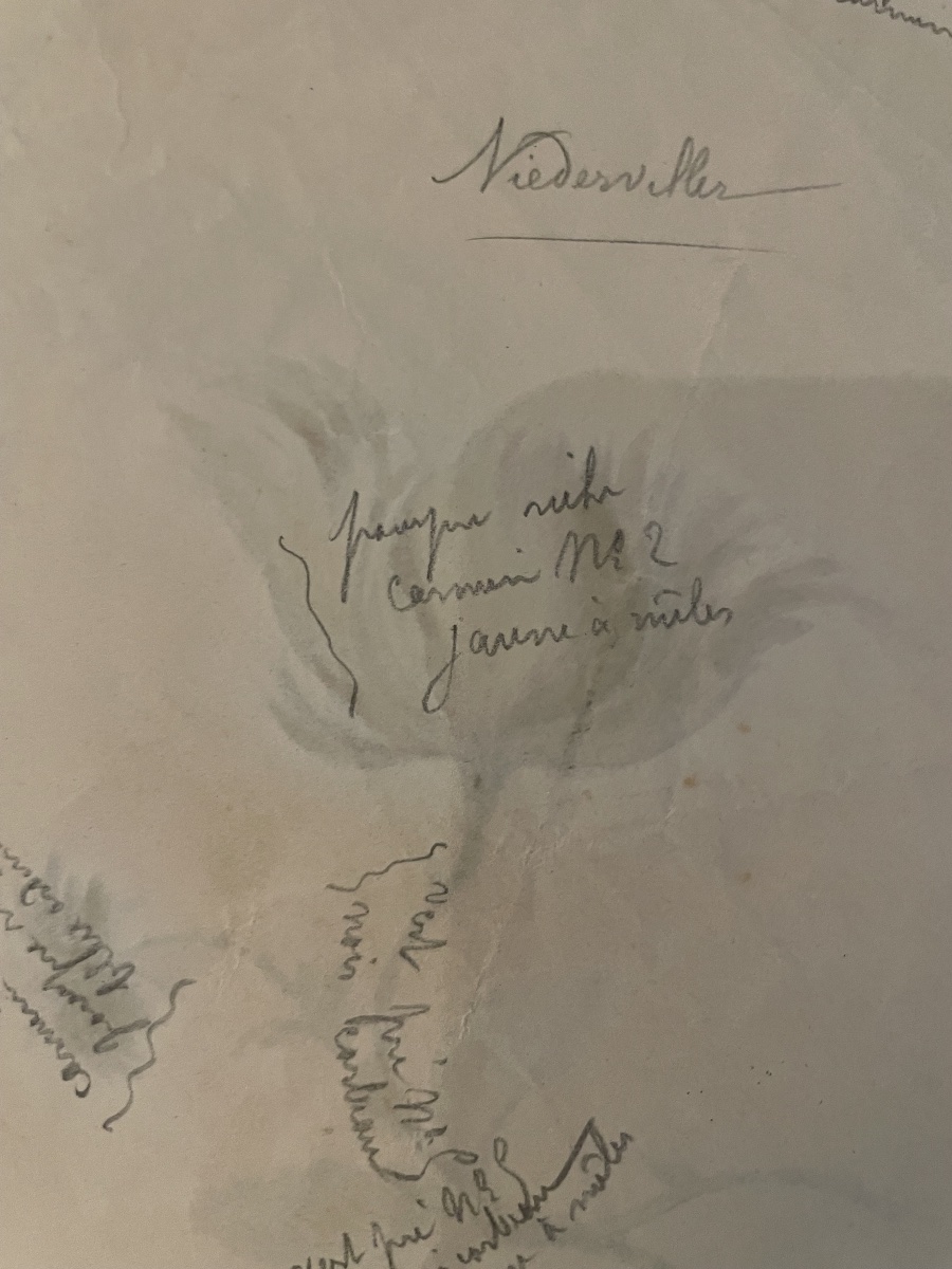 Sette disegni di decori floreali per piatti in ceramica,, da modelli del XVIII secolo-photo-5
