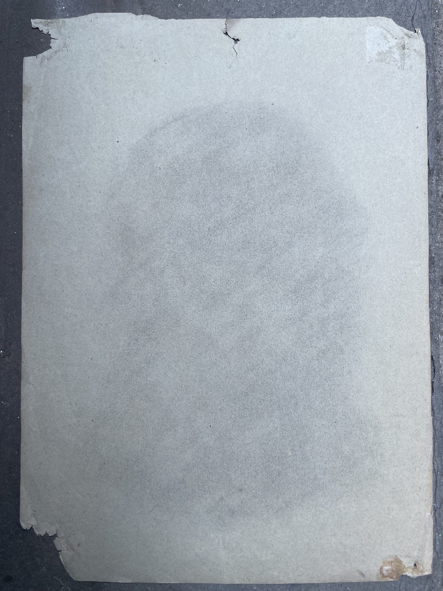 Disegno, ritratto di uomo con baffi e papillon, atelier di Enrico Reffo, cm 32 × 45 -photo-2