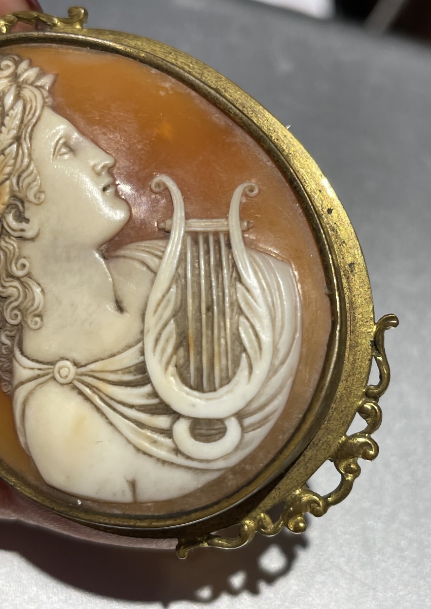 Apollo con lira e corona d’alloro. Cammeo in conchiglia, Italia, XIX secolo-photo-1