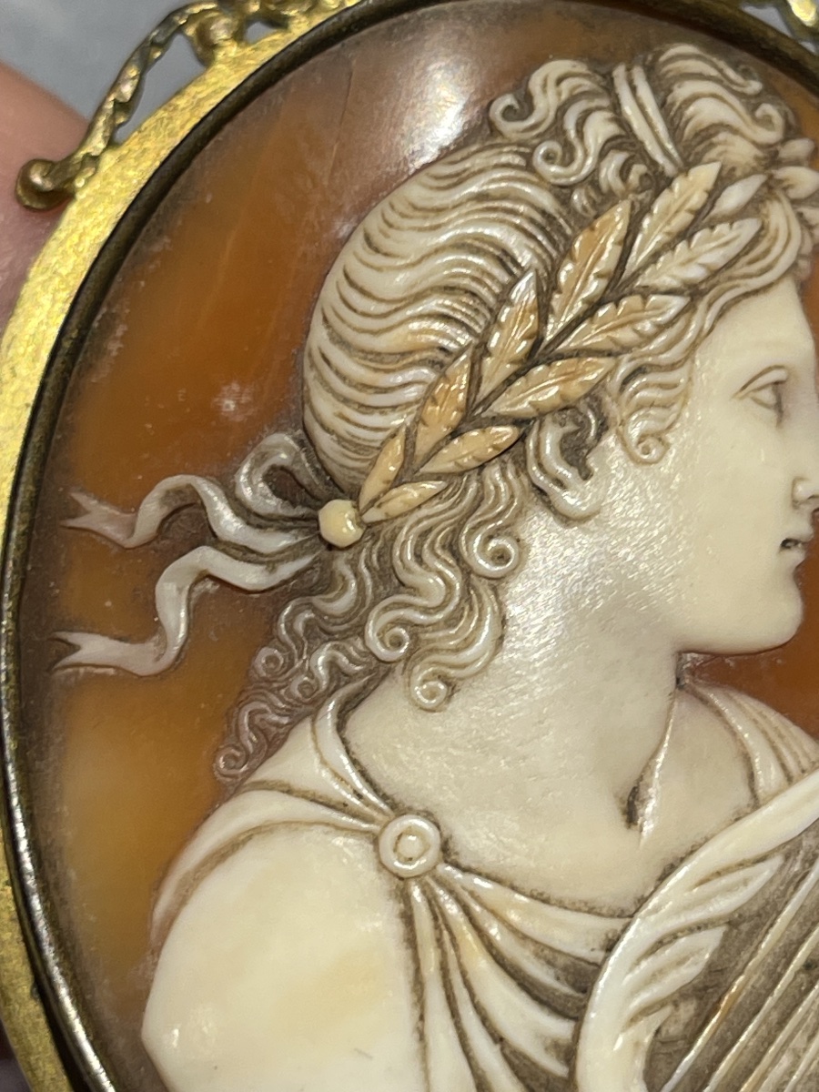 Apollo con lira e corona d’alloro. Cammeo in conchiglia, Italia, XIX secolo-photo-2