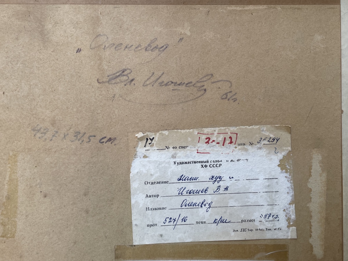 V. A. Igoshev – Giovane allevatore di renne, popoli indigeni del Grande Nord russo, 1961  -photo-4