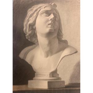 Disegno accademico di un busto scultura classica. XIX secolo