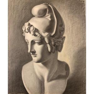 XIX sec. Studio Accademico della testa di Paride di Canova (copia in gesso)  57 cm x 46,5 cm