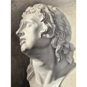 Il busto di Alessandro Magno. Disegno accademico italiano. 19esimo secolo. 
