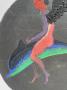 1592950-6888760420416.jpg