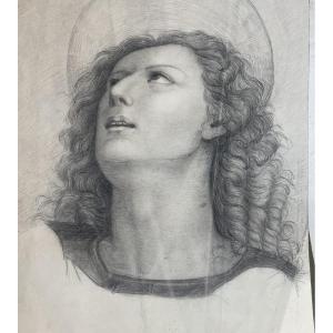 Testa con aureola, studio accademico ispirato a Perugino, scuola toscana, cm 40 × 28