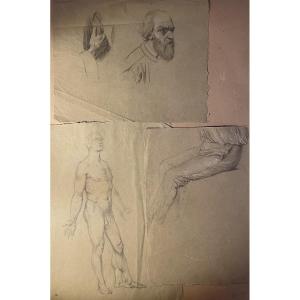 Tre studi accademici maschili su carta verdolina – nudo, panneggio e testa barbuta, metà XIX s