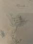 1796363-alb-6a5bd3913cfad.jpg