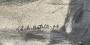 1829905-6abcced0e40bc.jpg