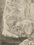 1832185-6ac23230b8601.jpg