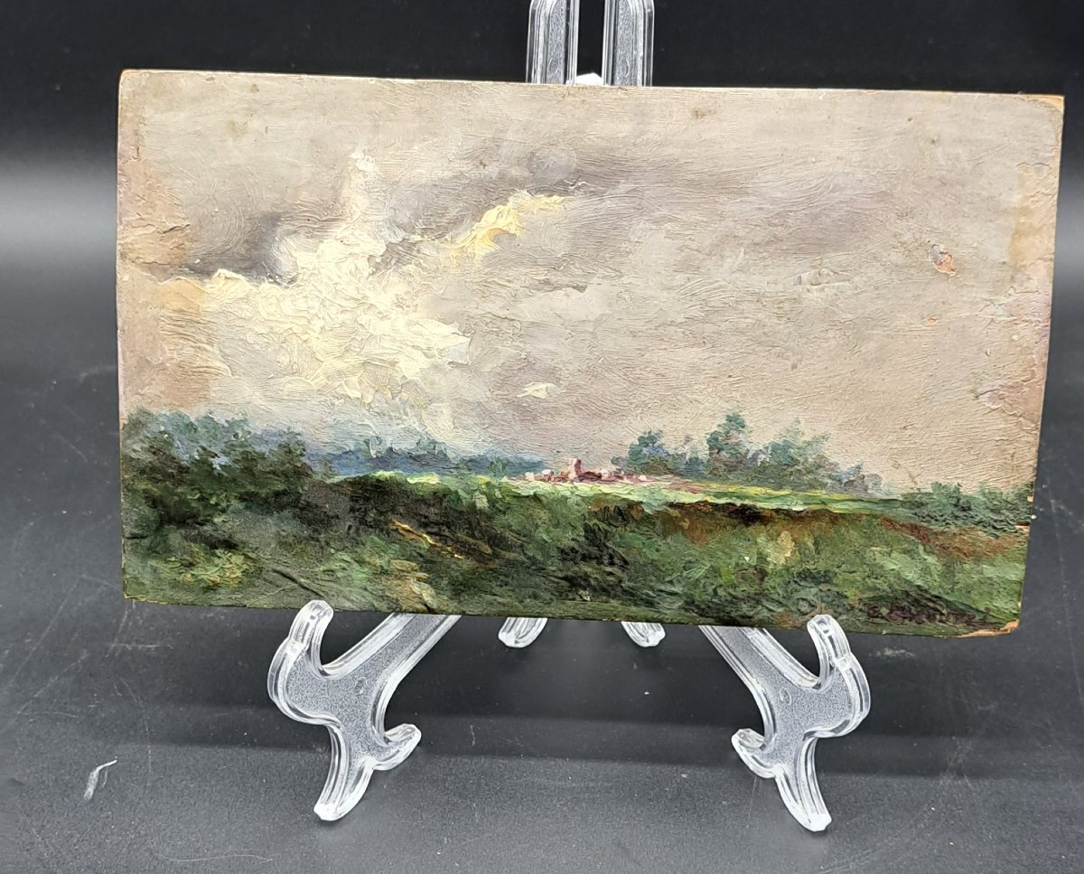 DIPINTO OLIO SU TAVOLA FIRMATO GIUSEPPE GHEDUZZI-photo-3