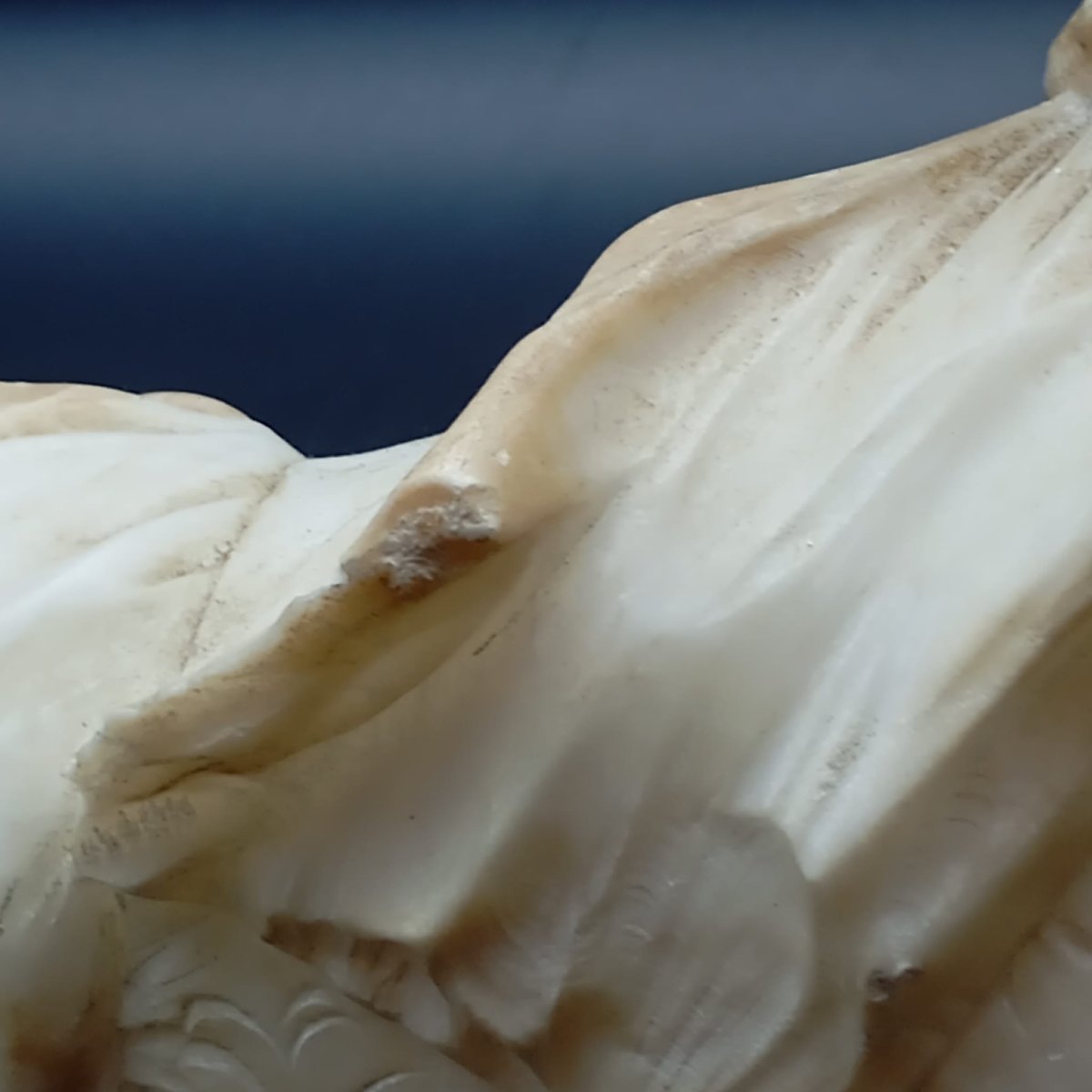 MEZZOBUSTO DI GIOVANE DONNA DELLA FINE DEL XIX SECOLO-photo-3