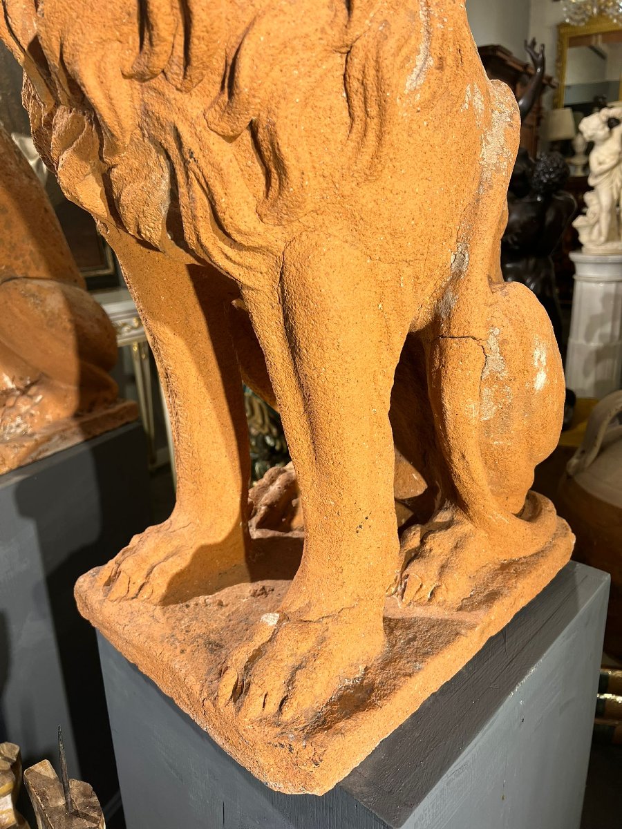 Coppia di leoni in terracotta-photo-3
