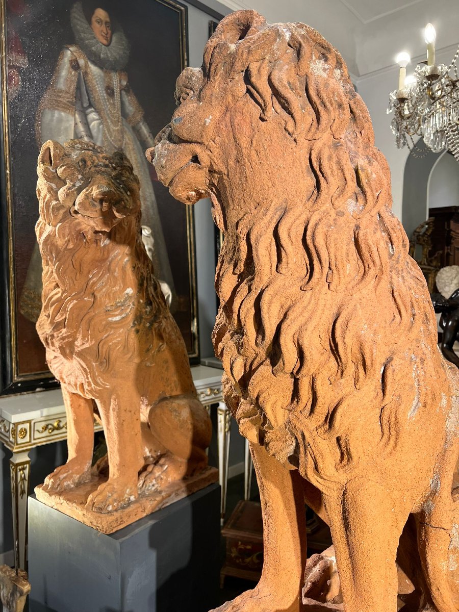 Coppia di leoni in terracotta-photo-4