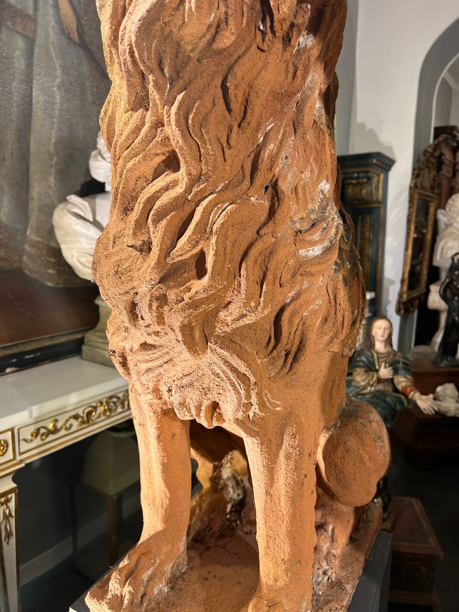 Coppia di leoni in terracotta-photo-1