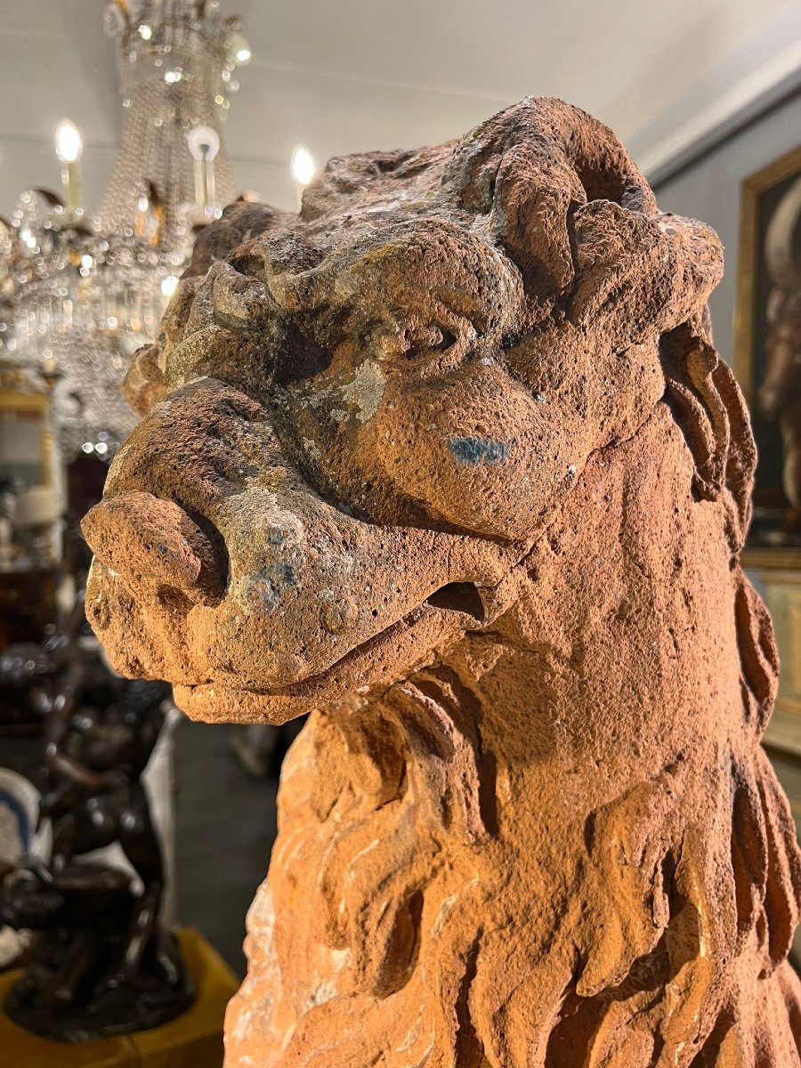 Coppia di leoni in terracotta-photo-2