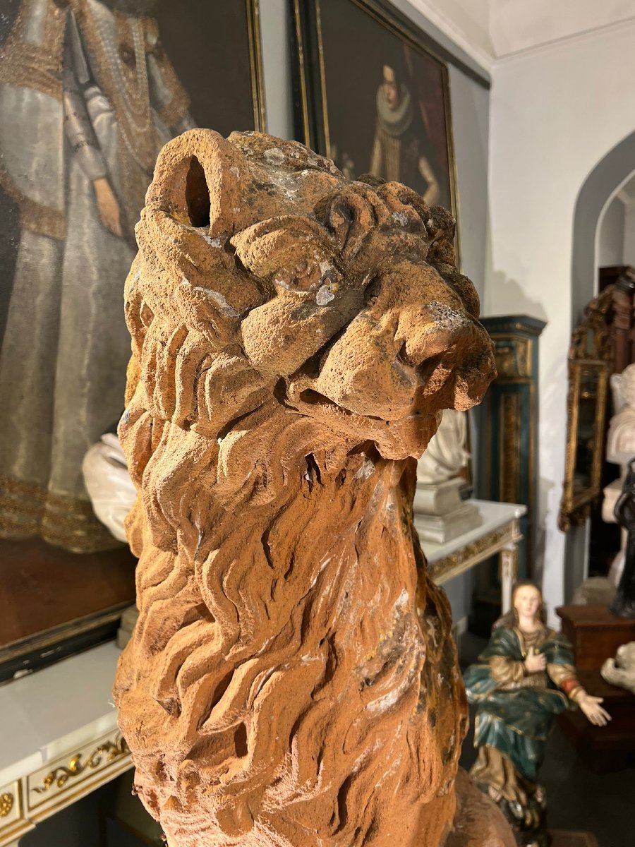 Coppia di leoni in terracotta-photo-3